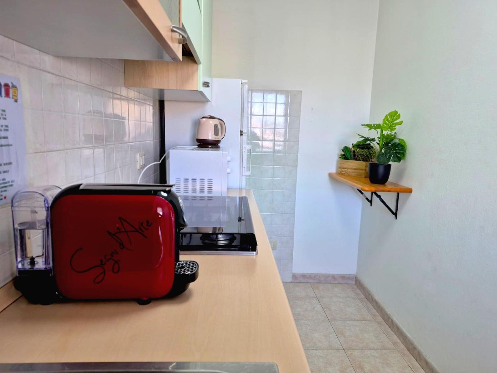 אלגהרו Da Felo Guest House מראה חיצוני תמונה